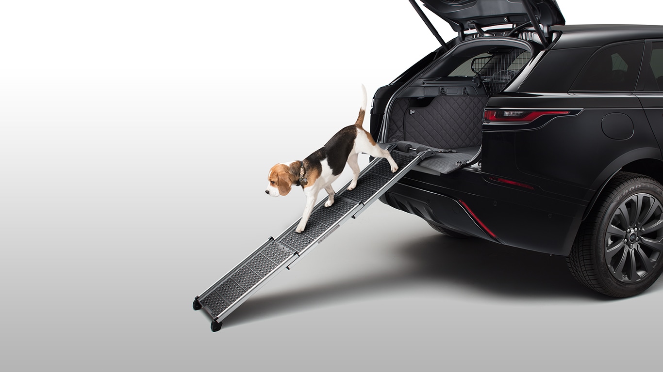 Pet Access Ramp image