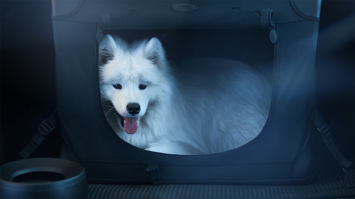 Extended Pet pack image